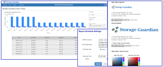 Report schedule settings and customization options